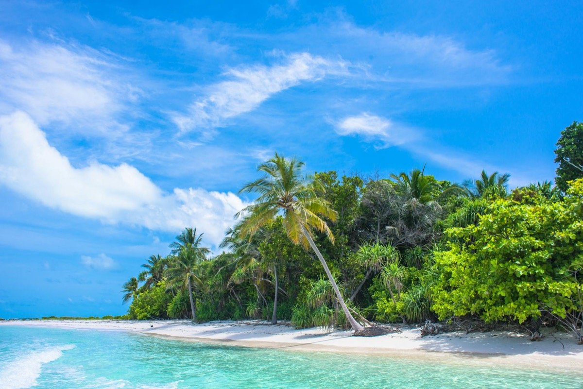 Pristine white sand beach with turquoise Caribbean waters and lush tropical palms, ideal for luxury resort stays
